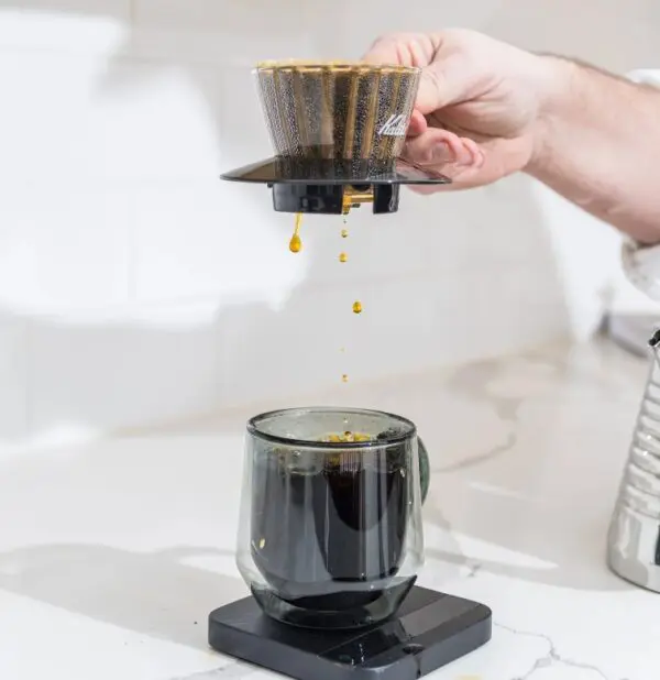 Kalita 155 Glass Dripper - Image 2