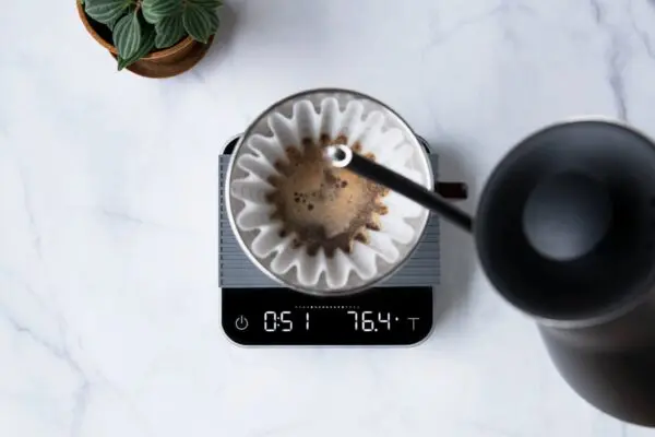 ACAIA PEARL - Image 2