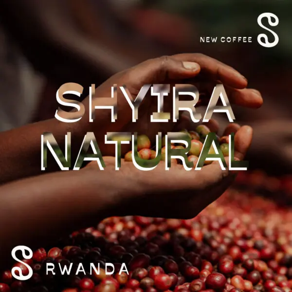 Shyira Natural - Image 2