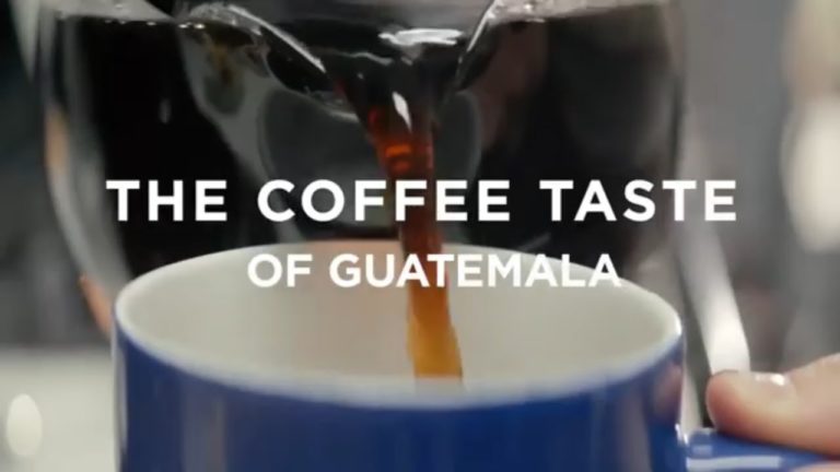 Samba Coffee Roasters - GUATEMALA LA REVUELTA