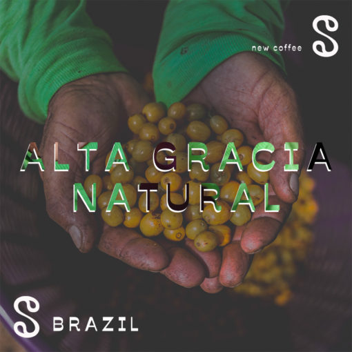 Samba Coffee Roasters Alta Gracia THUMBNAIL site b