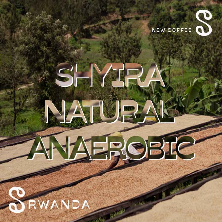Shyira Natural Anaerobic 900x900 site