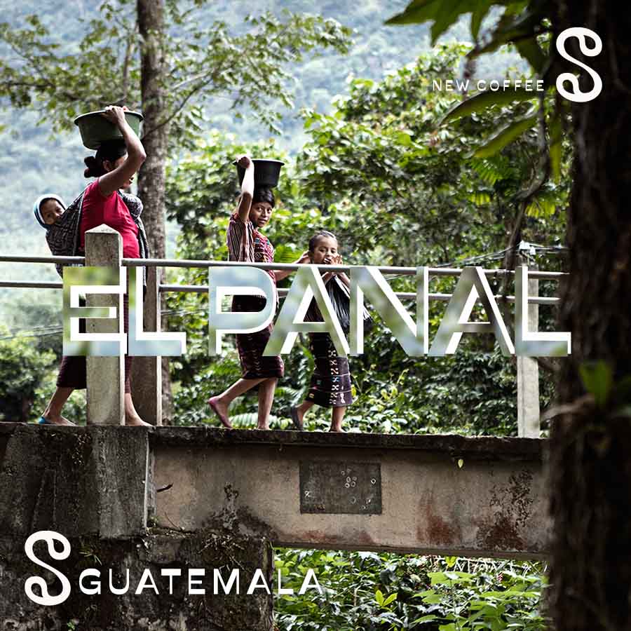 el panal 900x900 site